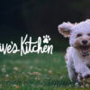 Olive's Kitchen | Website Design | New Zealand | Dave McLean